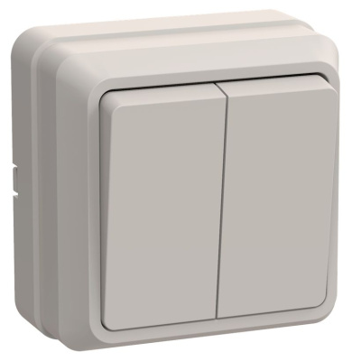 ВС20-2-0-ОКм Выключатель 2кл 10А откр.уст. ОКТАВА (кремовый)