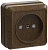 РСш20-2-ОД Розетка 1местн. без з/к с защ.штор.10А откр.уст. ОКТАВА (дуб)