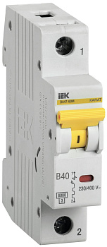 KARAT Авт. выкл. ВА47-60M 1P B 40А 6кА IEK KARAT Авт. выкл. ВА47-60M 1P B 40А 6кА IEK