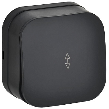 GLORY Выключ. 1-кл. прох. о/у 10А ВСп10-1-0-ХЧм черн. м. IEK